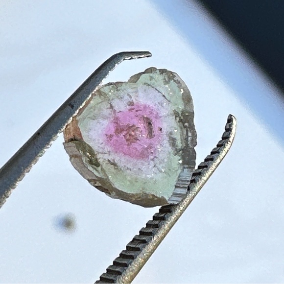 1.80 Carats Natural Watermelon Tourmalines Slices - Picture 17 of 17